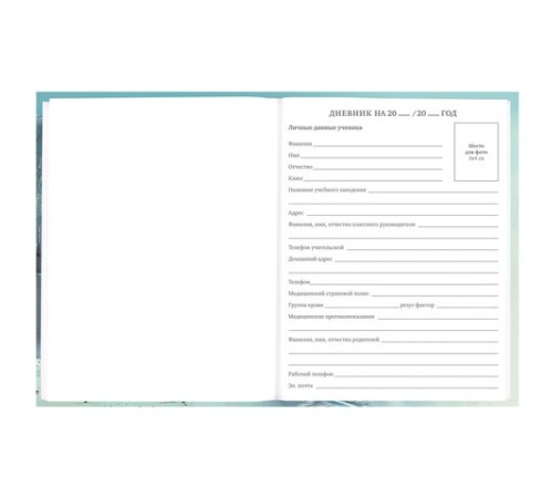 Дневник 5-11 класс 48 л., твердый, BRAUBERG, глянцевая ламинация, с подсказом, 
