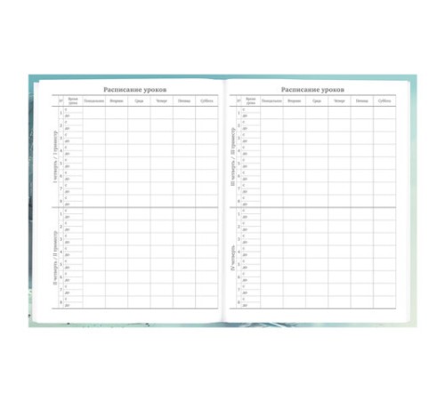 Дневник 5-11 класс 48 л., твердый, BRAUBERG, глянцевая ламинация, с подсказом, 