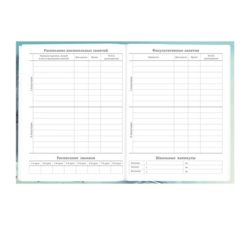 Дневник 5-11 класс 48 л., твердый, BRAUBERG, глянцевая ламинация, с подсказом, 