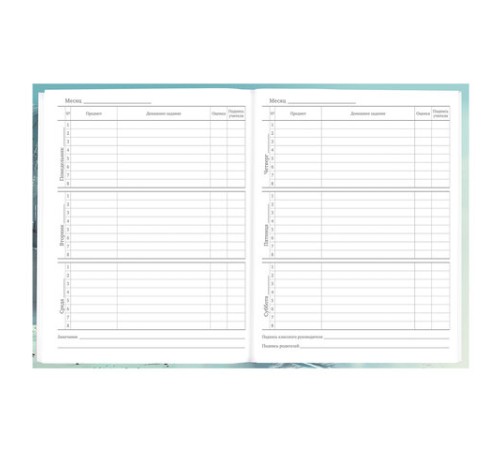 Дневник 5-11 класс 48 л., твердый, BRAUBERG, глянцевая ламинация, с подсказом, 