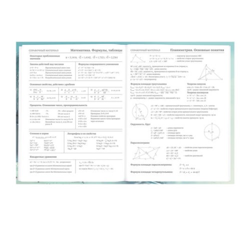Дневник 5-11 класс 48 л., твердый, BRAUBERG, глянцевая ламинация, с подсказом, 