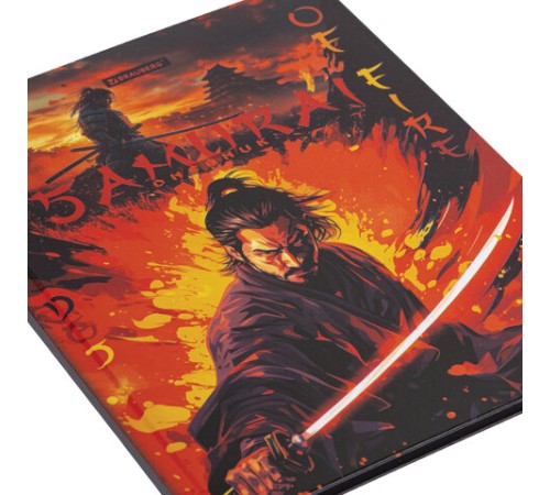 Дневник 5-11 класс 48 л., твердый, BRAUBERG, глянцевая ламинация, с подсказом, 