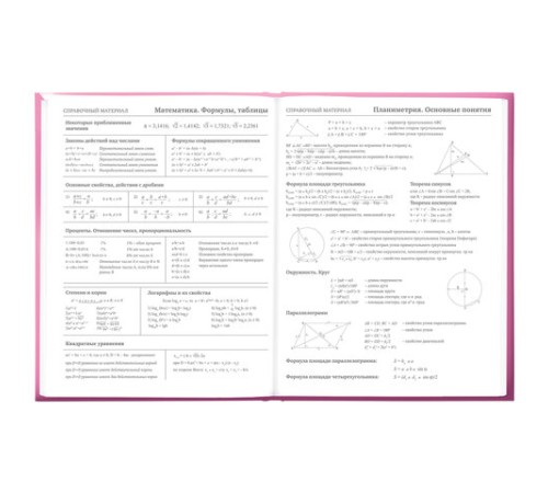 Дневник 5-11 класс 48 л., твердый, BRAUBERG, выборочный лак, с подсказом, 