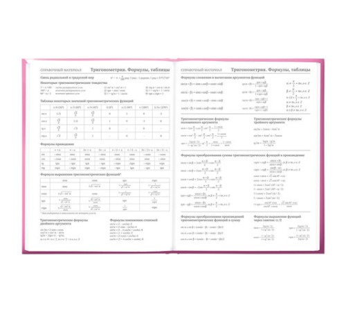 Дневник 5-11 класс 48 л., твердый, BRAUBERG, выборочный лак, с подсказом, 