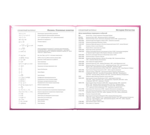 Дневник 5-11 класс 48 л., твердый, BRAUBERG, выборочный лак, с подсказом, 