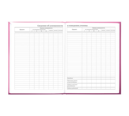 Дневник 5-11 класс 48 л., твердый, BRAUBERG, выборочный лак, с подсказом, 