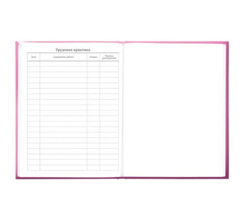 Дневник 5-11 класс 48 л., твердый, BRAUBERG, выборочный лак, с подсказом, 