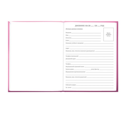 Дневник 5-11 класс 48 л., твердый, BRAUBERG, выборочный лак, с подсказом, 