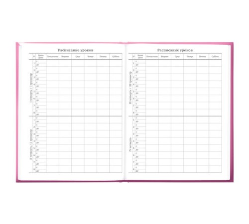 Дневник 5-11 класс 48 л., твердый, BRAUBERG, выборочный лак, с подсказом, 