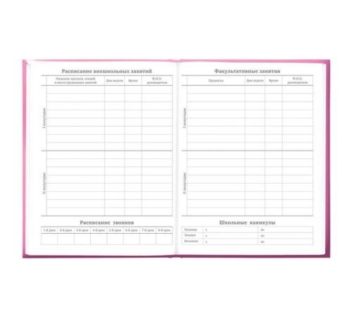 Дневник 5-11 класс 48 л., твердый, BRAUBERG, выборочный лак, с подсказом, 