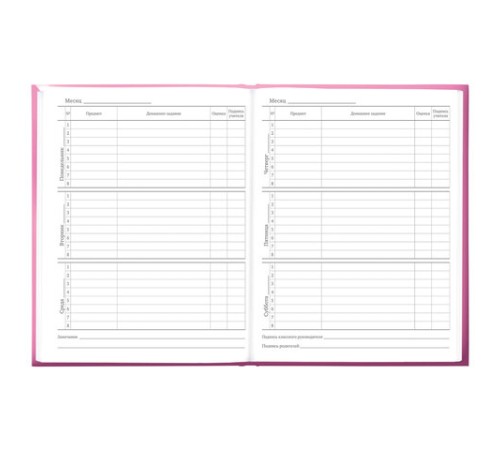 Дневник 5-11 класс 48 л., твердый, BRAUBERG, выборочный лак, с подсказом, 