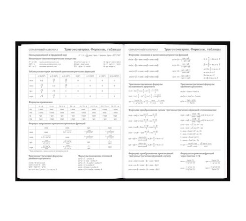 Дневник 5-11 класс 48 л., твердый, BRAUBERG, выборочный лак, с подсказом, 