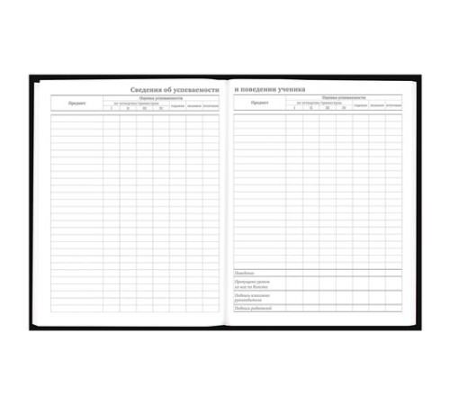 Дневник 5-11 класс 48 л., твердый, BRAUBERG, выборочный лак, с подсказом, 