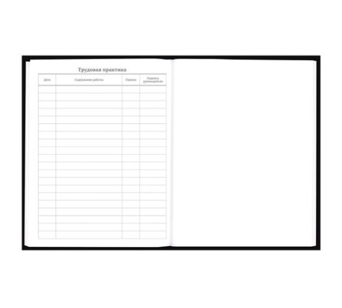 Дневник 5-11 класс 48 л., твердый, BRAUBERG, выборочный лак, с подсказом, 