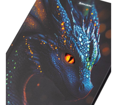 Дневник 5-11 класс 48 л., твердый, BRAUBERG, выборочный лак, с подсказом, 