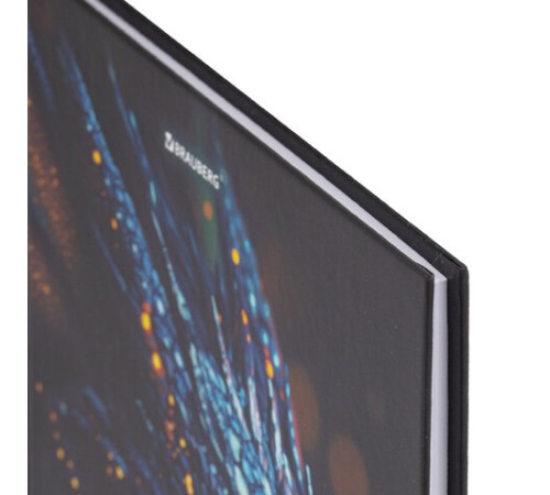 Дневник 5-11 класс 48 л., твердый, BRAUBERG, выборочный лак, с подсказом, 