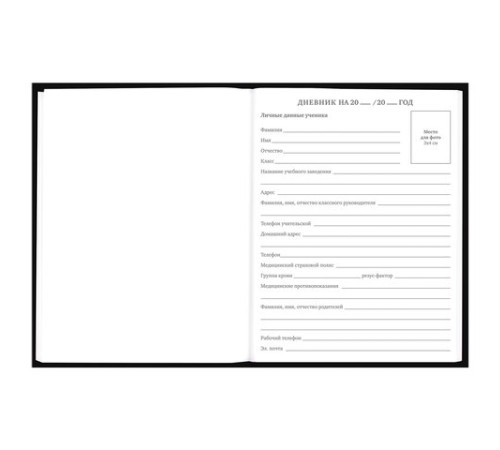 Дневник 5-11 класс 48 л., твердый, BRAUBERG, выборочный лак, с подсказом, 