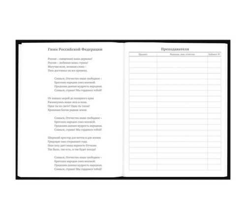 Дневник 5-11 класс 48 л., твердый, BRAUBERG, выборочный лак, с подсказом, 