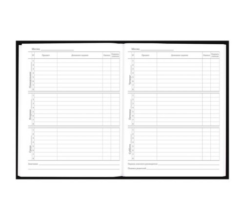 Дневник 5-11 класс 48 л., твердый, BRAUBERG, выборочный лак, с подсказом, 