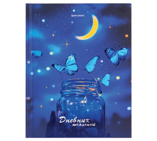 Дневник 5-11 класс 48 л., твердый, BRAUBERG, выборочный лак, с подсказом, 