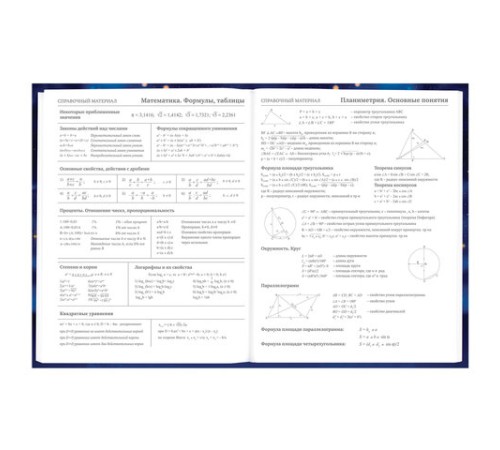 Дневник 5-11 класс 48 л., твердый, BRAUBERG, выборочный лак, с подсказом, 