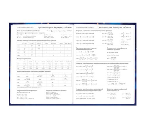 Дневник 5-11 класс 48 л., твердый, BRAUBERG, выборочный лак, с подсказом, 