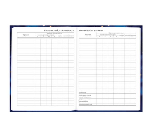 Дневник 5-11 класс 48 л., твердый, BRAUBERG, выборочный лак, с подсказом, 