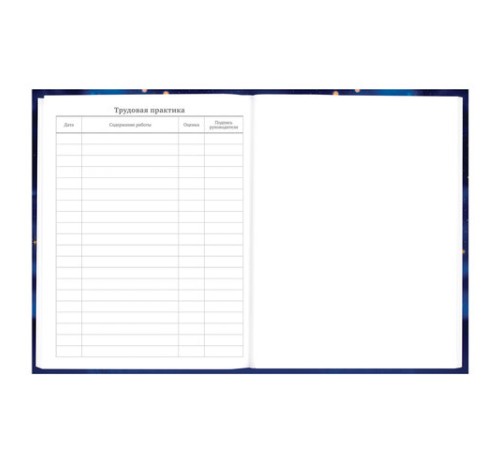 Дневник 5-11 класс 48 л., твердый, BRAUBERG, выборочный лак, с подсказом, 