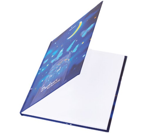 Дневник 5-11 класс 48 л., твердый, BRAUBERG, выборочный лак, с подсказом, 