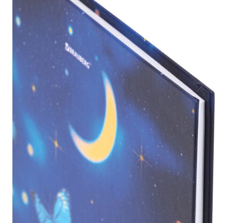 Дневник 5-11 класс 48 л., твердый, BRAUBERG, выборочный лак, с подсказом, 