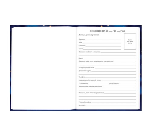 Дневник 5-11 класс 48 л., твердый, BRAUBERG, выборочный лак, с подсказом, 