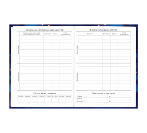 Дневник 5-11 класс 48 л., твердый, BRAUBERG, выборочный лак, с подсказом, 