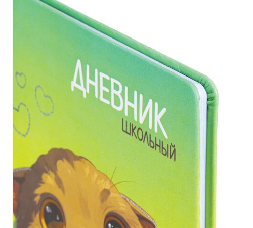 Дневник 1-11 класс 48 л., кожзам (твердая), печать, глиттер, ЮНЛАНДИЯ, 