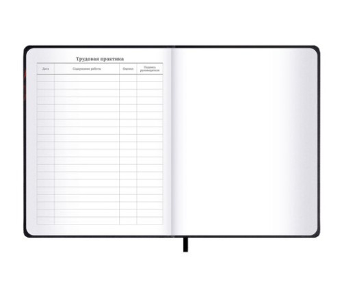 Дневник 1-11 класс 48 л., обложка кожзам (твердая с поролоном), 3D-элемент, BRAUBERG, 