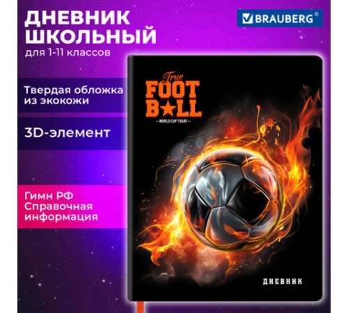 Дневник 1-11 класс 48 л., обложка кожзам (твердая с поролоном), 3D-элемент, BRAUBERG, 