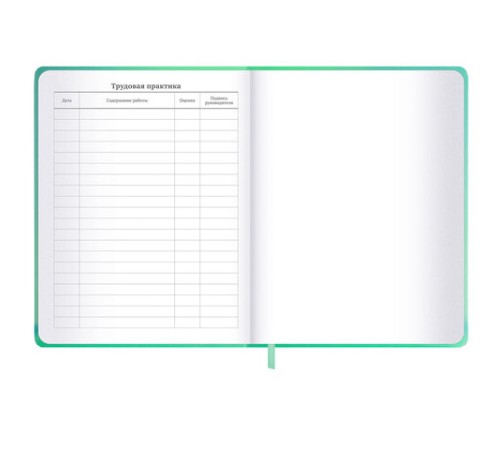 Дневник 1-11 класс 48 л., обложка кожзам (твердая с поролоном), 3D-элемент, BRAUBERG, 