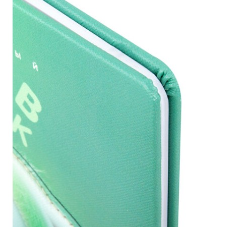 Дневник 1-11 класс 48 л., обложка кожзам (твердая с поролоном), 3D-элемент, BRAUBERG, 