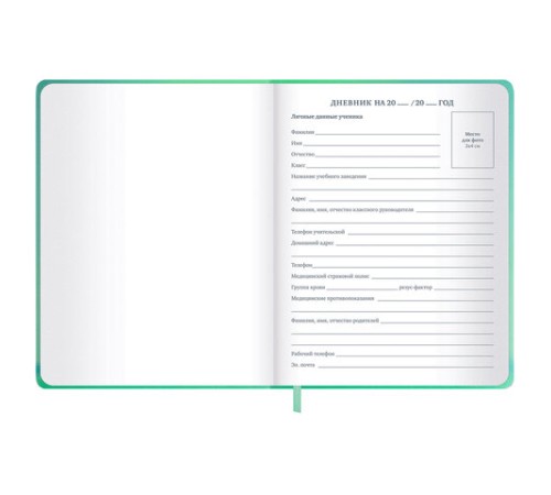 Дневник 1-11 класс 48 л., обложка кожзам (твердая с поролоном), 3D-элемент, BRAUBERG, 