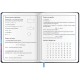 Дневник 1-4 класс 48 л., кожзам (твердая с поролоном), печать, аппликация, ЮНЛАНДИЯ, 
