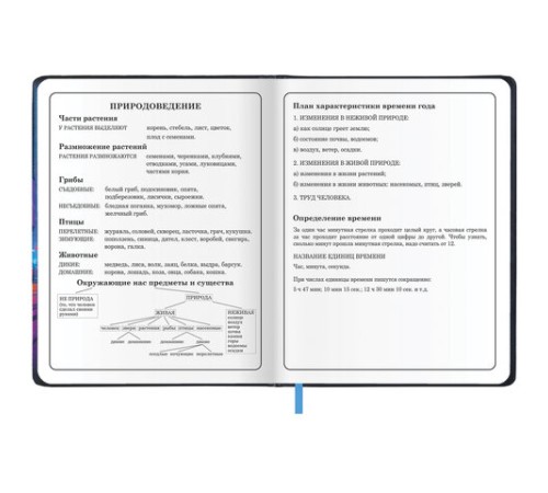 Дневник 1-4 класс 48 л., кожзам (твердая с поролоном), печать, аппликация, ЮНЛАНДИЯ, 