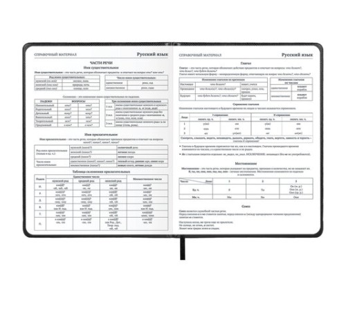 Дневник 1-11 класс 48 л., кожзам (твердая с поролоном), нашивка, BRAUBERG IGUANA, черный, 107225