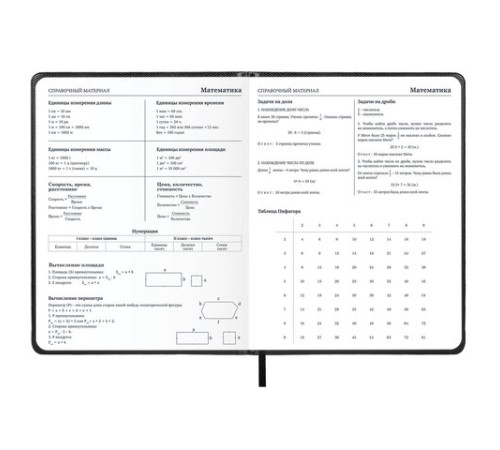 Дневник 1-11 класс 48 л., кожзам (твердая с поролоном), нашивка, BRAUBERG IGUANA, черный, 107225
