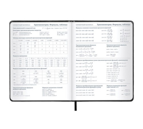 Дневник 1-11 класс 48 л., кожзам (твердая с поролоном), нашивка, BRAUBERG IGUANA, черный, 107225