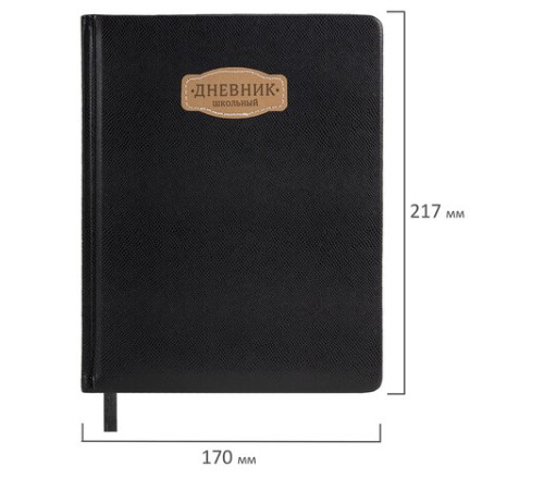 Дневник 1-11 класс 48 л., кожзам (твердая с поролоном), нашивка, BRAUBERG IGUANA, черный, 107225