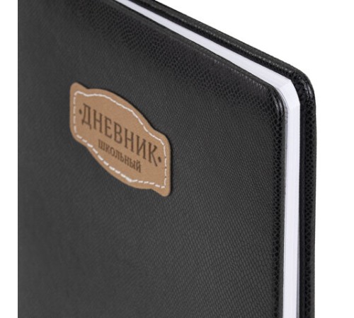 Дневник 1-11 класс 48 л., кожзам (твердая с поролоном), нашивка, BRAUBERG IGUANA, черный, 107225