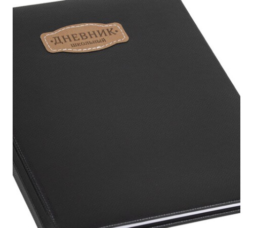 Дневник 1-11 класс 48 л., кожзам (твердая с поролоном), нашивка, BRAUBERG IGUANA, черный, 107225