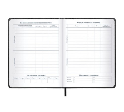 Дневник 1-11 класс 48 л., кожзам (твердая с поролоном), нашивка, BRAUBERG IGUANA, черный, 107225