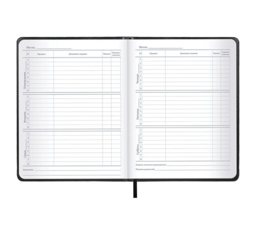 Дневник 1-11 класс 48 л., кожзам (твердая с поролоном), нашивка, BRAUBERG IGUANA, черный, 107225