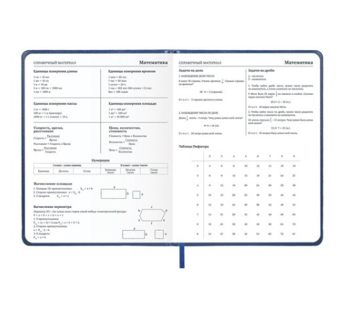 Дневник 1-11 класс 48 л., кожзам (твердая с поролоном), нашивка, BRAUBERG IGUANA, синий, 107226