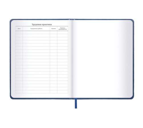 Дневник 1-11 класс 48 л., кожзам (твердая с поролоном), нашивка, BRAUBERG IGUANA, синий, 107226